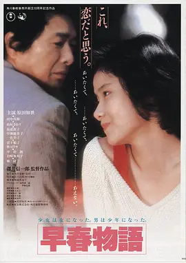 理论电影